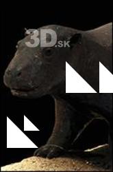 3D Scan of Hippopotamus