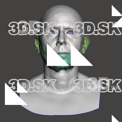 Retopologized 3D Head scan of Alena SubDivision