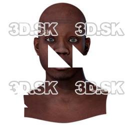 Max Retopo Head Scan V1