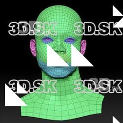 Retopologized 3D Head scan of Max SubDivision