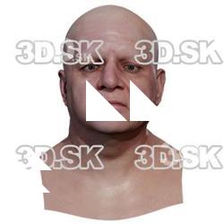 Hanzal Retopo Head Scan V1