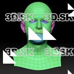 Retopologized 3D Head scan of Anton SubDivision