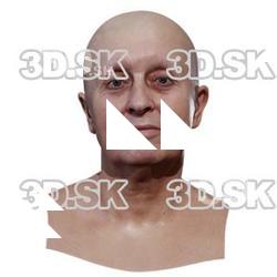 Jirina Retopo Head Scan V1