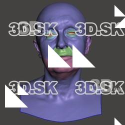 Retopologized 3D Head scan of Jirina SubDivision