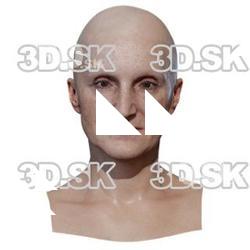 Milada Retopo Head Scan V1
