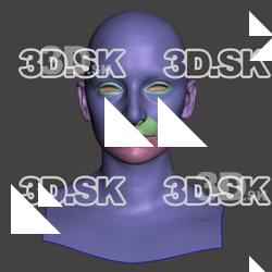 Retopologized 3D Head scan of InnaM SubDivision