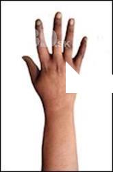Rosemary Retopo Hand Scan