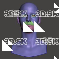 Retopologized 3D Head scan of MarketaP SubDivision