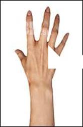Hakobyan Retopo Hand Scan