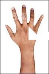 Helmi Retopo Hand Scan