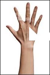 Dinhova Retopo Hand Scan