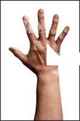 Bich Retopo Hand Scan
