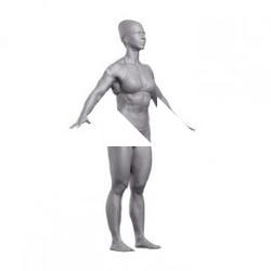 Petra Base Body Scan