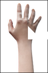 Lady Winters Retopo Hand Scan