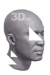 Nio Base Scan Head