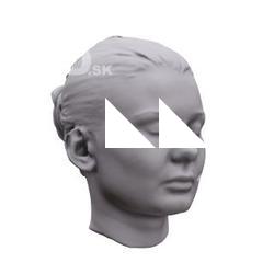 LucyLI Base Scan Head