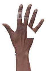 Bshara Henry Retopo Hand Scan