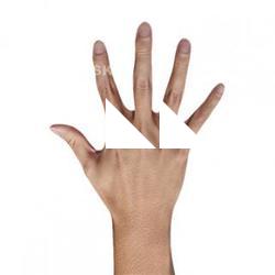 Dokuro Konyo Retopo Hand Scan