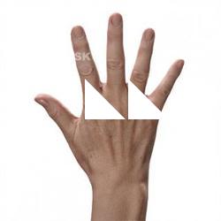 Ueyama Aya Retopo Hand Scan