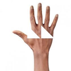 Orien Morgan Retopo Hand Scan