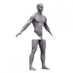 Matej Base Body Scan