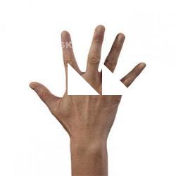 Takemoto Junzo Retopo Hand Scan