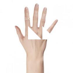 Lucy Evans Retopo Hand Scan
