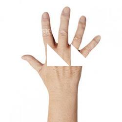 Raylee Burns Retopo Hand Scan