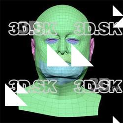 Riley Evans Subdivs 3D Model