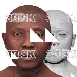 Dimetrice Moss Head Scan V2