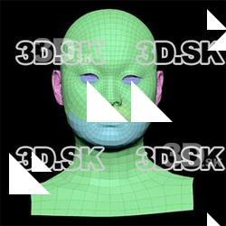 Dokuro Konyo Subdivs 3D Model