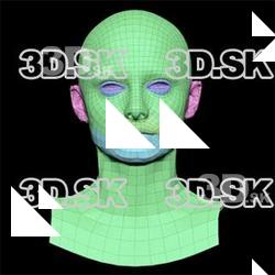 Lucy Evans Subdivs 3D Model