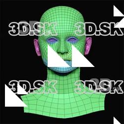 Luisa Perry Subdivs 3D Model
