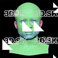 Orien Morgan Subdivs 3D Model