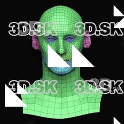 Roland Stewart Subdivs 3D Model
