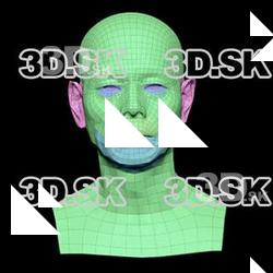 Takemoto Junzo Subdivs 3D Model