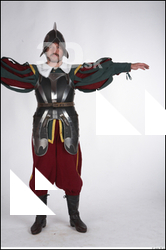  Photos Medieval Castle Guard in plate armor 1 