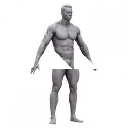 Pavel Base Body Scan