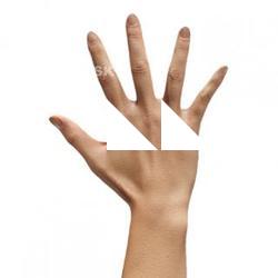 Miyaguchi Hosnie Retopo Hand Scan