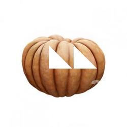 Cleaned Pumpkin 3D Scan