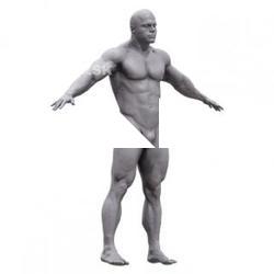 Williard Base Body Scan