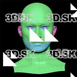 Retopologized 3D Head scan of Hatsu Tanzan SubDivision