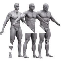 BUNDLE Muscle Men Base Body Scans