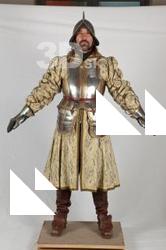  Photos Teoren Medieval Guard in plate armor 2 