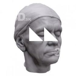 Arnold Base Scan Head