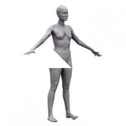 Brenda Base Body Scan