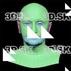 Retopologized 3D Head scan of Raylee Burns SubDivision