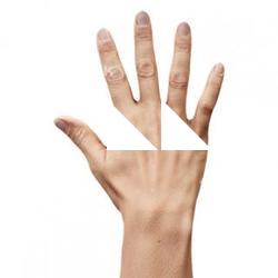 Raenia Freeman Retopo Hand Scan