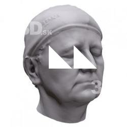 Fringila Base Head Scan