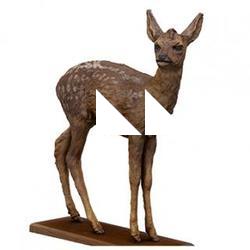 Deer Doe Animal Base Scan